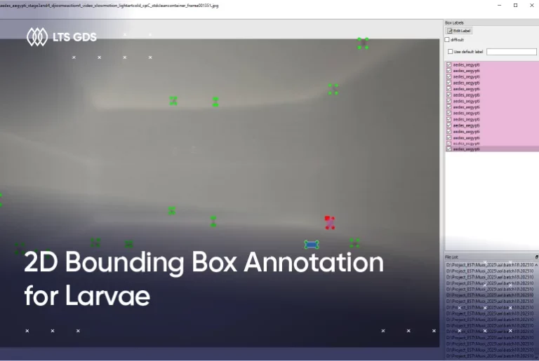 2D Bounding Box Annotation for Larvae​